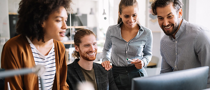 konsulter för systemlösning